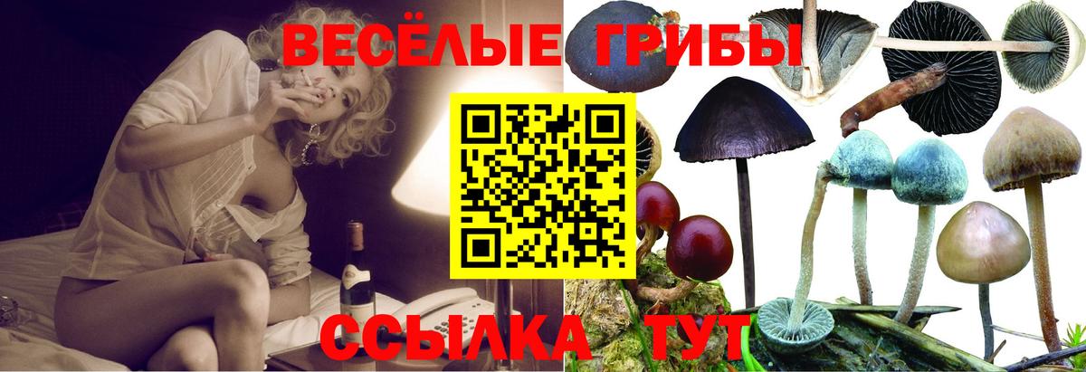 Краснокаменск  Галлюциногенные грибы ЛСД  Галлюциногенные грибы Psilocybine cubensis  Вход с VPN 